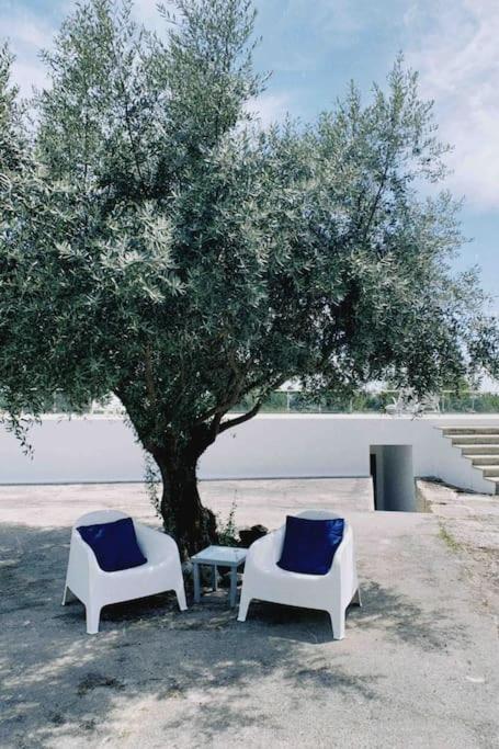 Casa Da Oliveira Villa Nelas Exteriör bild