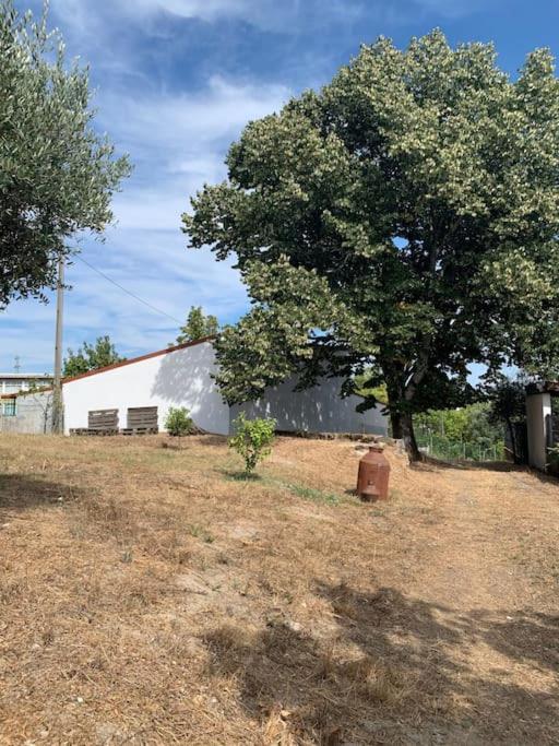 Casa Da Oliveira Villa Nelas Exteriör bild
