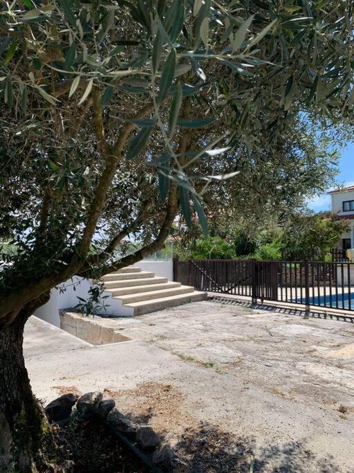 Casa Da Oliveira Villa Nelas Exteriör bild